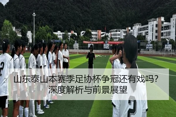 山东泰山本赛季足协杯争冠还有戏吗？深度解析与前景展望
